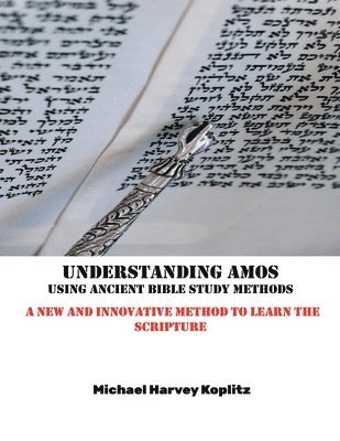 Michael Harvey Koplitz - Understanding Amos, Häftad
