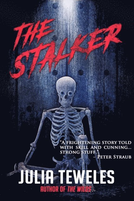 Julia Teweles - Stalker, E-bok