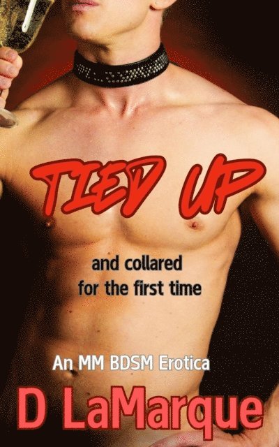D Lamarque - Tied Up and Collared for the First Time: An MM BDSM Erotica, E-bok