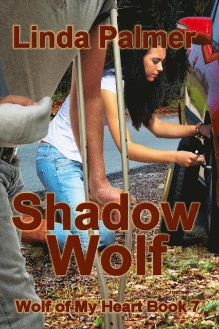 Linda Palmer - Shadow Wolf, E-bok