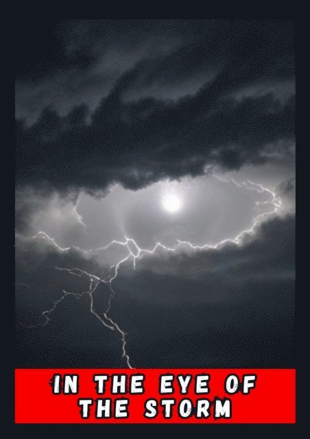 jessica diogo - In the eye of the Storm, E-bok