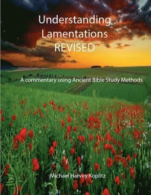 Michael Koplitz - Understanding Lamentations - Revised, Häftad