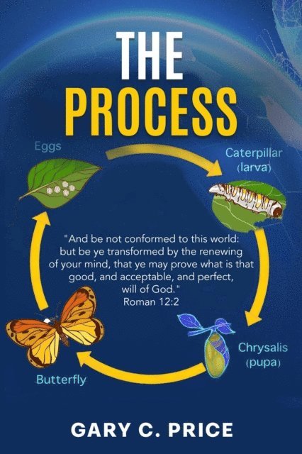 Gary C. Price - Process, E-bok
