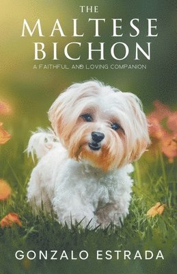 Gonzalo Estrada - Maltese Bichon, Häftad. Tillgänglighet: Lägg i varukorg