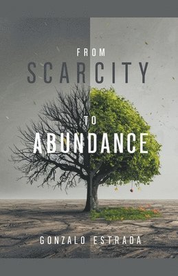 Gonzalo Estrada - From Scarcity to Abundance, Häftad. Tillgänglighet: Lägg i varukorg