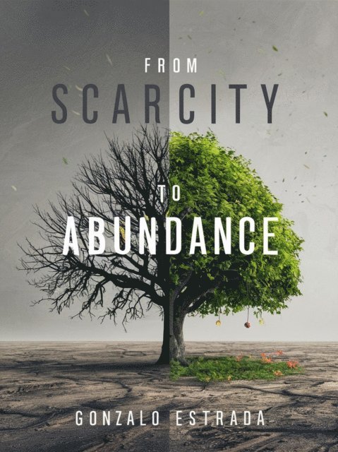 Gonzalo Estrada - From Scarcity to Abundance, E-bok. Tillgänglighet: Lägg i varukorg