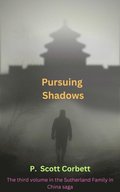 Pursuing Shadows