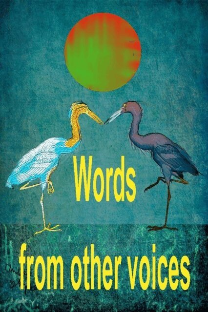 Sonny Collins - Words From Other Voices, E-bok
