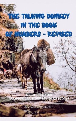 Michael Koplitz - Talking Donkey in the Book of Numbers - Revised, Häftad