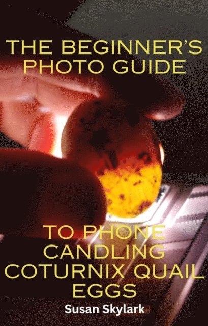 Beginner's Photo Guide to Phone Candling Coturnix Quail Eggs
