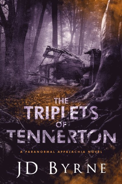 JD Byrne - Triplets of Tennerton, E-bok
