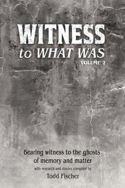 Todd Fischer - WITNESS to What Was:  Volume 2, E-bok