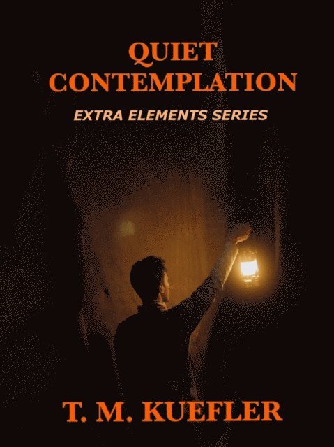 T. M. Kuefler - Quiet Contemplation, E-bok
