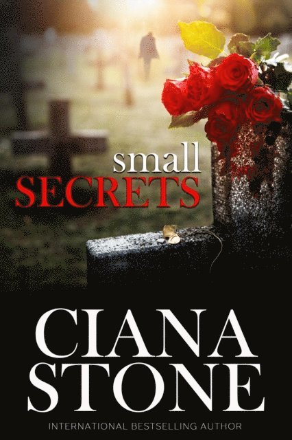 Ciana Stone - Small Secrets, E-bok