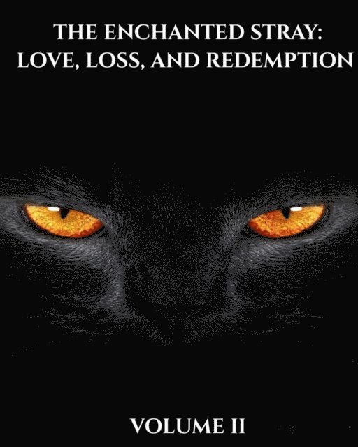 Ciara - Enchanted Stray: Love, Loss, and Redemption, E-bok