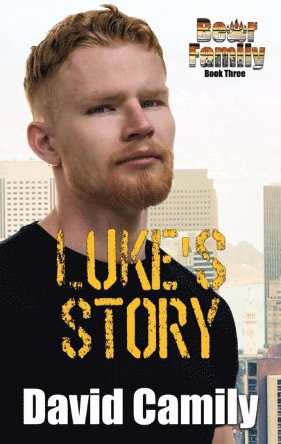 David Camily - Luke's Story, E-bok