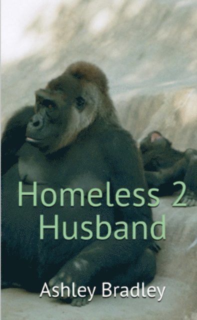 Ashley Bradley - Homeless 2 Husband, E-bok