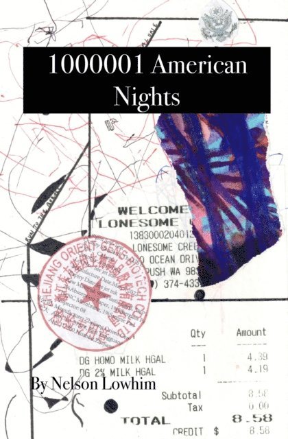 Nelson Lowhim - 1000001 American Nights, E-bok
