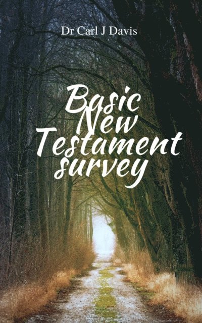 Carl Davis - Basic New Testament Survey, E-bok