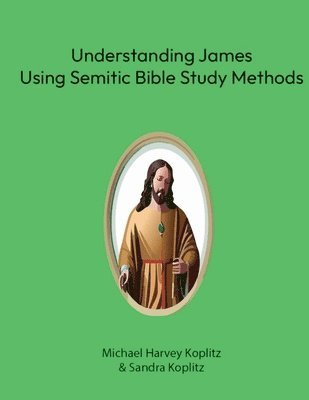 Michael Harvey Koplitz - Understanding James, Häftad