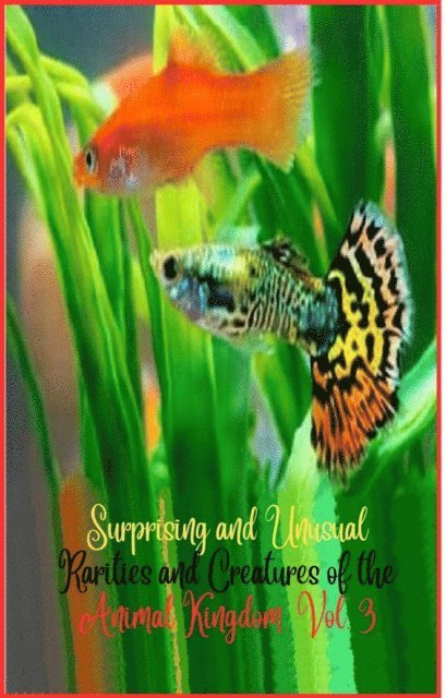 Zoila Camacho - Surprising and unusual rarities and creatures of the Animal Kingdom. Vol. 3, E-bok