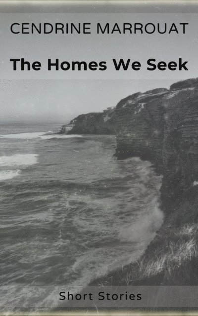 Cendrine Marrouat - Homes We Seek, E-bok