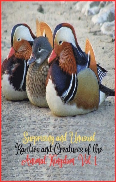 Zoila Camacho - Surprising and unusual rarities and creatures of the Animal Kingdom. Vol. 1, E-bok