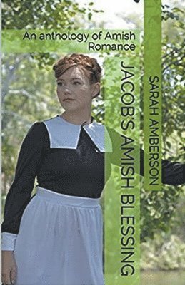 Sarah Amberson - Jacob's Amish Blessing, Häftad