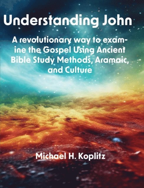 Michael Koplitz - Understanding John, E-bok