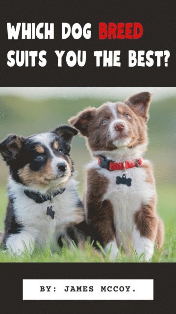 james mccoy - Which Dog breed suits you the best?, E-bok