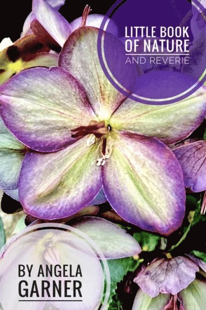 Angela Garner - Little Book of Nature and Reverie, E-bok