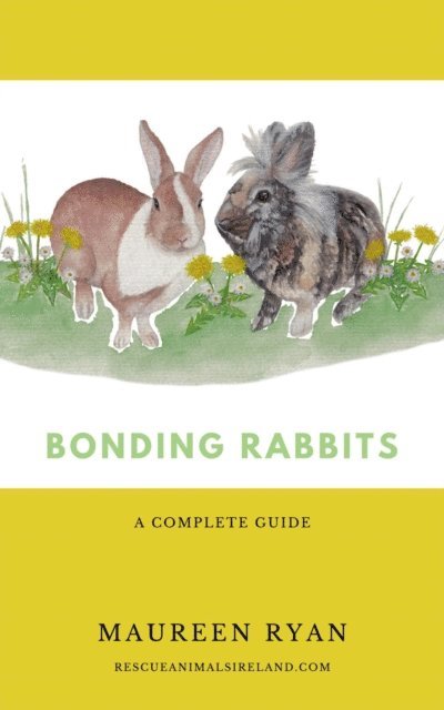 Maureen Ryan - Bonding Rabbits: A Complete Guide, E-bok