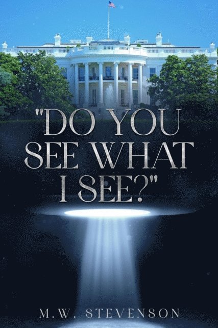 Mark Stevenson - &quote;Do You See What I See?&quote;, E-bok