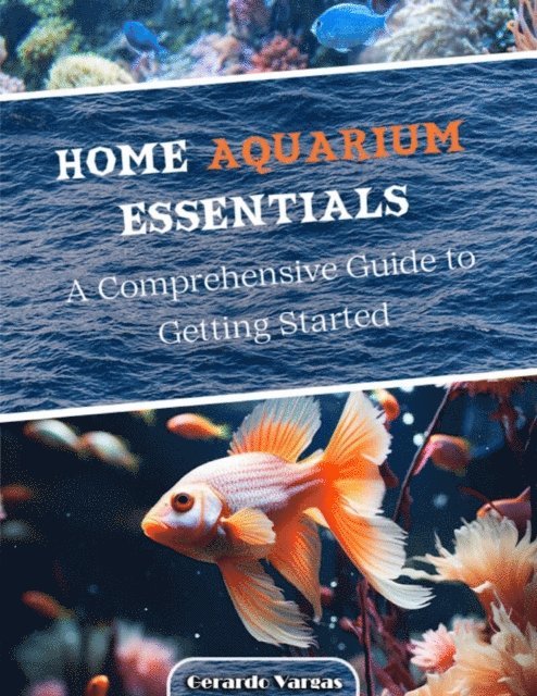Home Aquarium Essentials