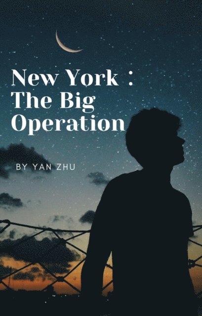 Yan Zhu - New York : The Big Operation, E-bok