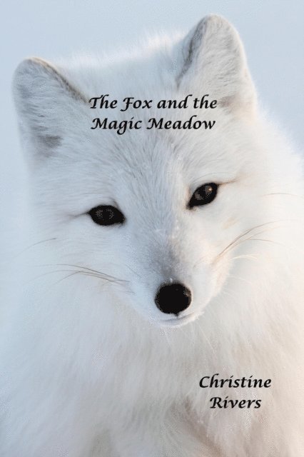 Christine Rivers - Fox and the Magic Meadow, E-bok