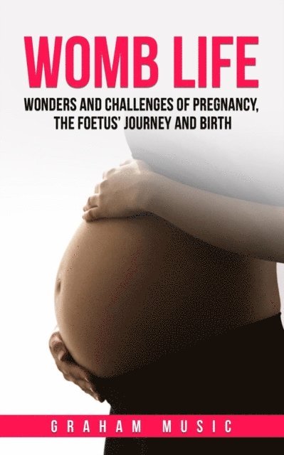 graham music - Womb Life: Wonders and Challenges of Pregnancy, the Foetus' Journey and Birth, E-bok