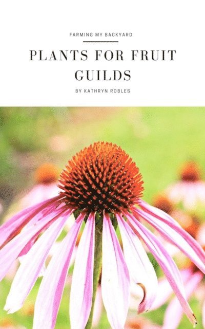 Kathryn Robles - Plants For Fruit Guilds, E-bok. Tillgänglighet: Lägg i varukorg