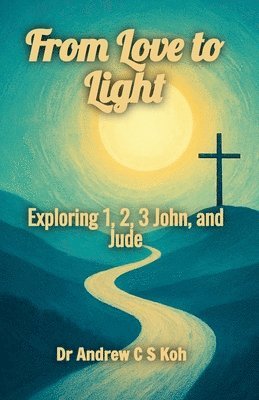 Andrew C S Koh - From Love to Light, Häftad