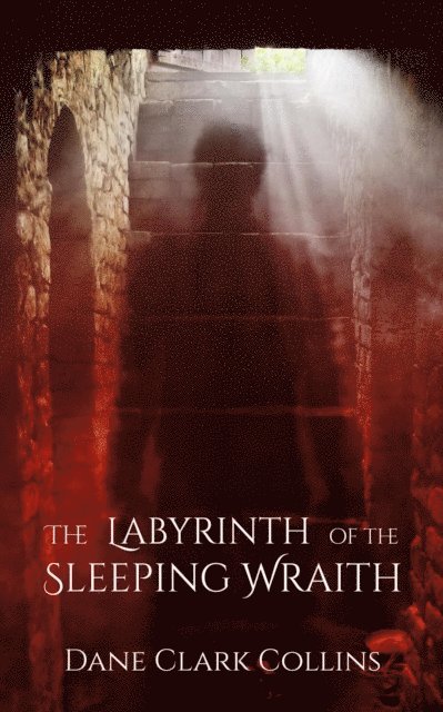 Dane Clark Collins - Labyrinth of the Sleeping Wraith, E-bok