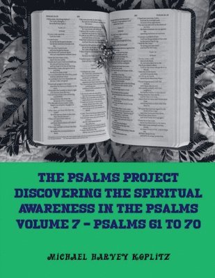 Michael Harvey Koplitz - Psalms Project Volume Seven - Discovering the Spiritual World through the Psalms - Psalm 61-70, Häftad
