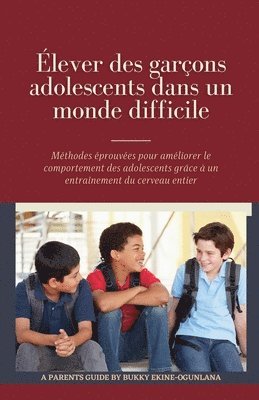 Bukky Ekine-Ogunlana - Élever des garçons adolescents dans un monde difficile, Häftad