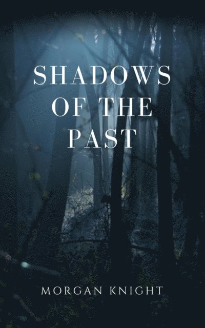 Morgan Knight - Shadows of the Past, E-bok