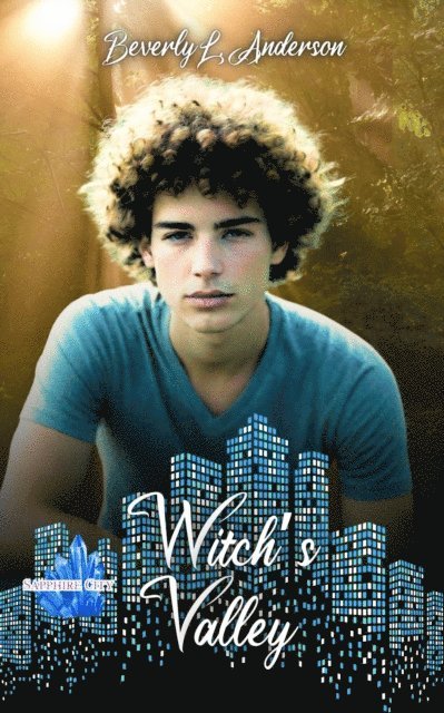Beverly L Anderson - Witch's Valley, E-bok