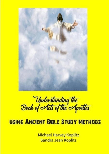 Michael Koplitz - Understanding Acts, E-bok
