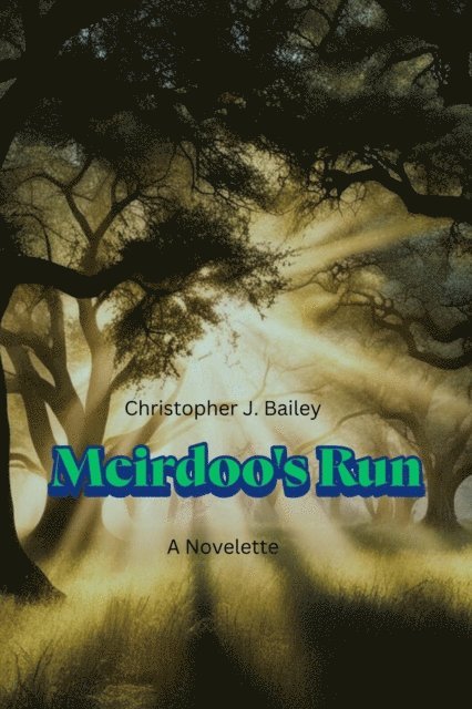 Christopher J. Bailey - Meirdoo's Run, E-bok
