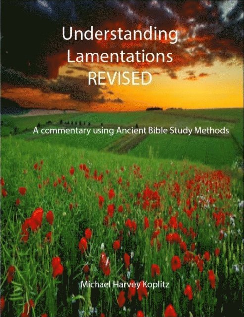Michael Koplitz - Understanding Lamentations - Revised, E-bok