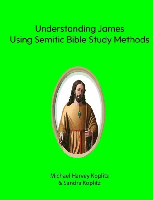 Michael Harvey Koplitz - Understanding James, E-bok
