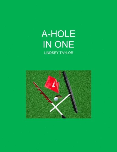 Lindsey Taylor - A-Hole In One, E-bok