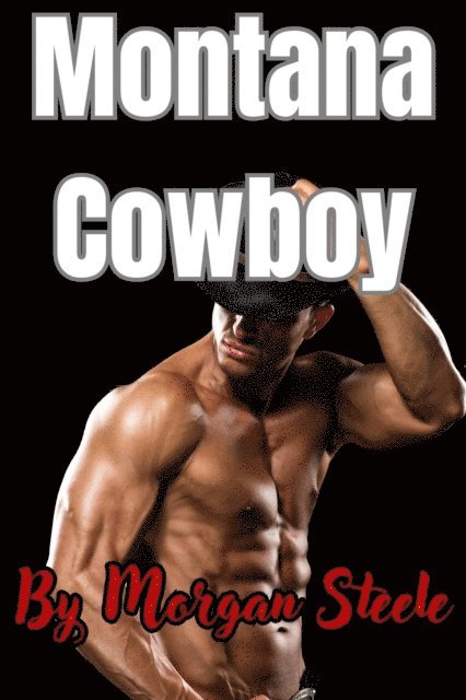 Morgan Steele - Montana Cowboy, E-bok